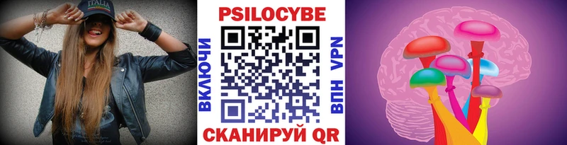 купить   Невель  Галлюциногенные грибы прущие грибы 